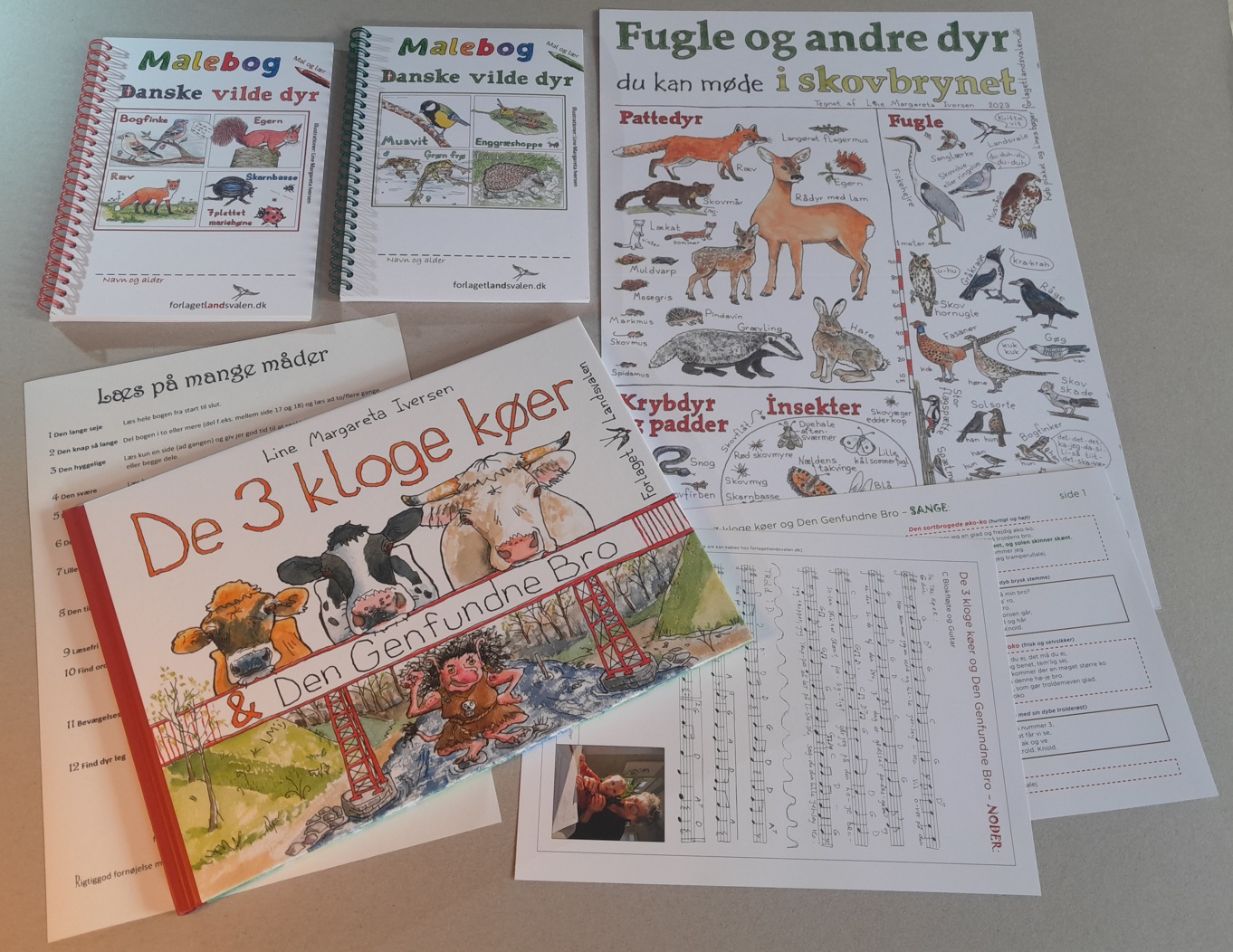 Forlaget Landsvalen - Aktivitetspakke